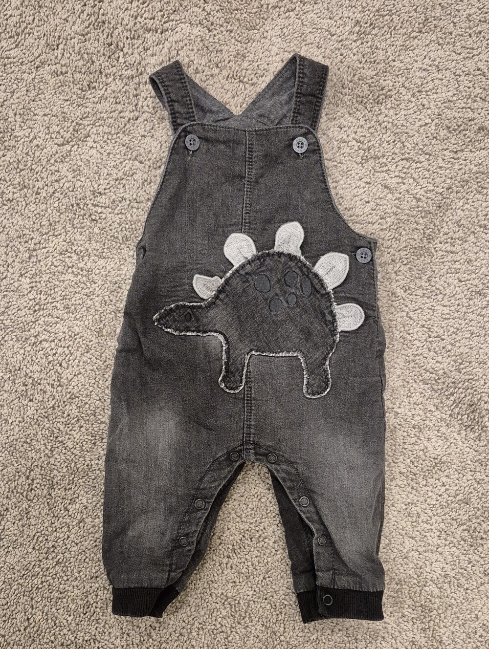 NEXT Dinosaur Overalls